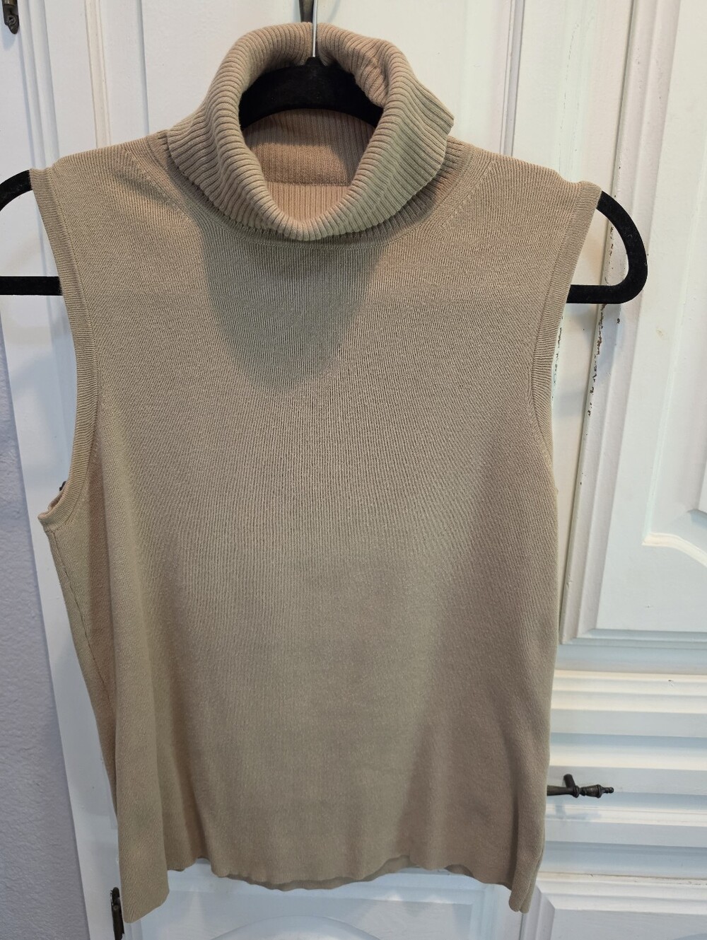 Banana Republic Knit Sleeveless Turtleneck